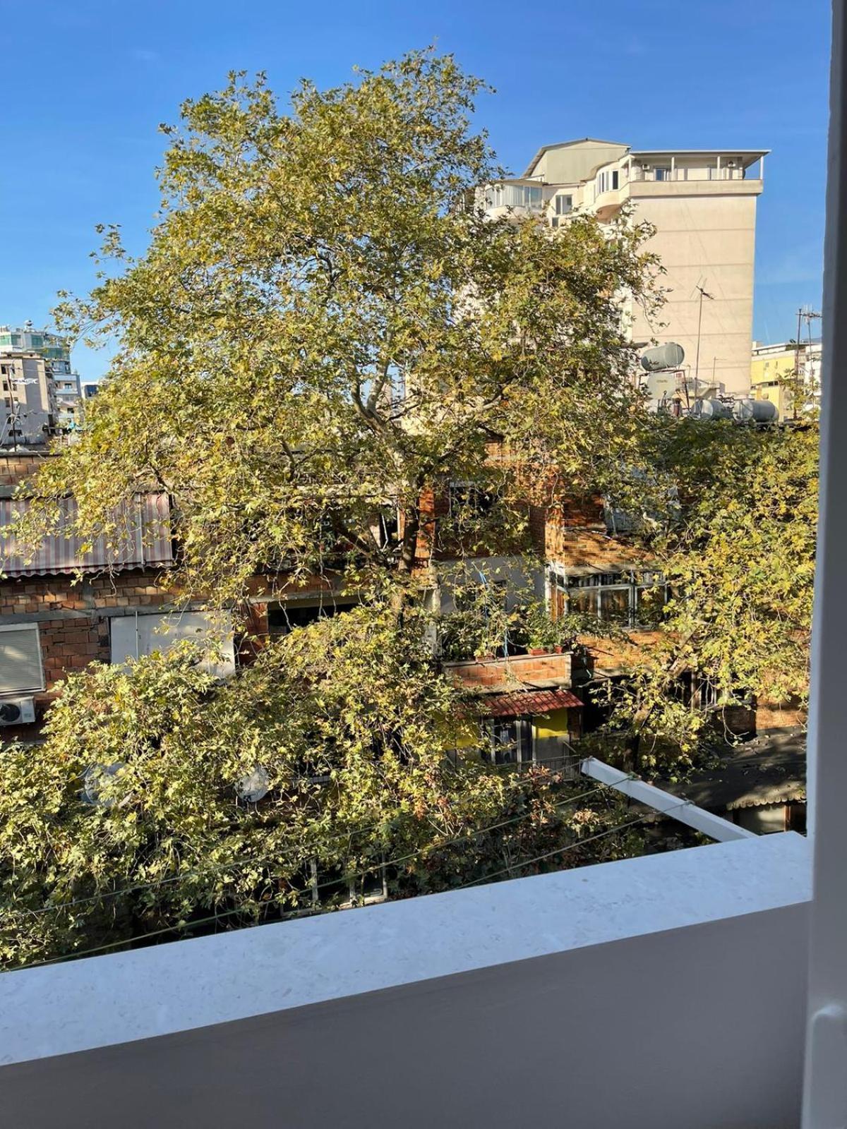 Dream Apartament 地拉那 外观 照片